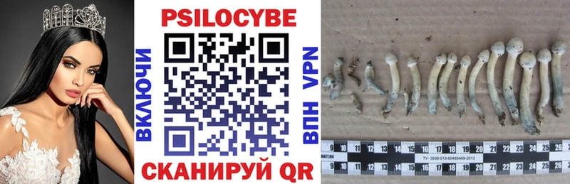 Галлюциногенные грибы мухоморы Купить Валдай
